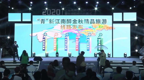 佳節(jié)相連盛會(huì)相接 上海青浦淀山湖文化藝術(shù)節(jié)暨旅游購物節(jié)開幕，文化藝術(shù)交流策劃服務(wù)閃耀舞臺(tái)
